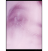 PHOTO PRINT LONG SLEEVE T-SHIRT(受注予約受付終了)