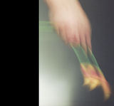 PHOTO PRINT LONG SLEEVE T-SHIRT(受注予約受付終了)